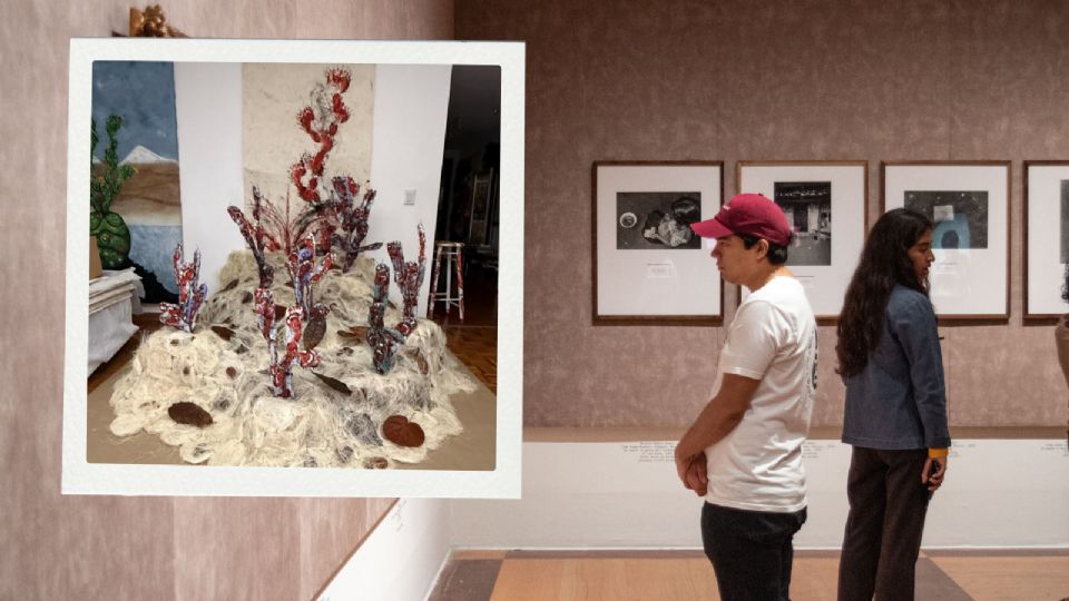 Detalle de la obra “Raíces que caminan: micelio, nopal y memoria” de Gabriel Sánchez Viveros, parte de la exposición colectiva “Materia Viva”.