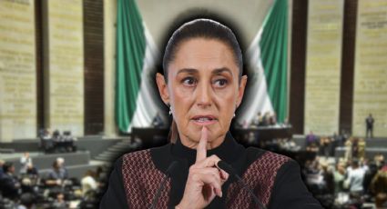 La reforma electoral ‘deslactosada’ que no pone en riesgo la democracia: Vanessa Romero