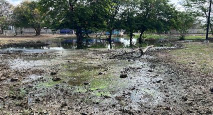 Grave fuga de aguas negras en parque de Ciudad Caucel genera preocupación entre vecinos