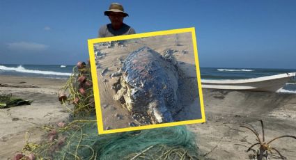 Derrame de hidrocarburo en Veracruz: Comunidades exigen limpieza y denuncian daños a la salud