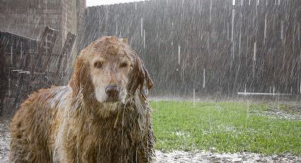 Clima en Monterrey HOY 9 de marzo de 2026: ¿Seguirán las lluvias este lunes?