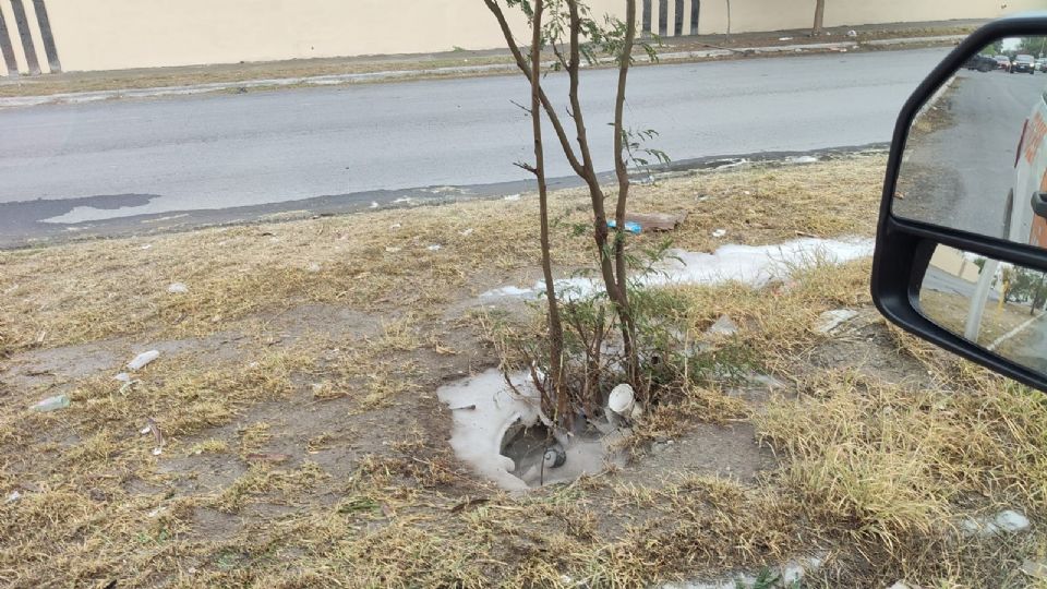 Cuerpos de auxilio atendieron a una familia y trabajadores tras el ataque de un enjambre de abejas en Guadalupe.