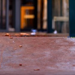 Masacre en Corregidora: Ataque armado en pelea de gallos irregular cobra cinco vidas