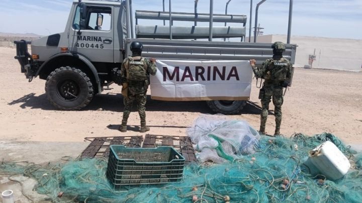Marina asegura redes ilegales en Sonora y frena la pesca prohibida en el Alto Golfo