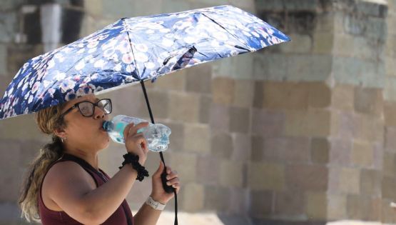 Clima en México hoy: 8 estados superan 45°C; evita golpe de calor