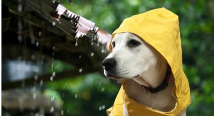 Clima en Monterrey 13 de junio: ¿Cuál es la probabilidad de lluvia para este sábado?