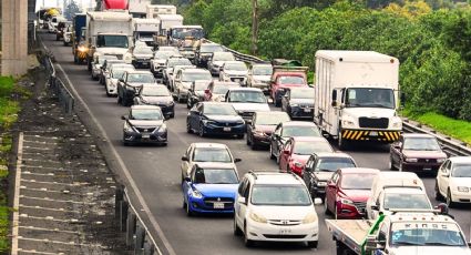 ¿Qué autos NO circulan este lunes 15 de junio en CDMX y Edomex?