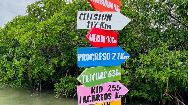Isla columpios un lugar para visitar estas vacaciones en Yucatán