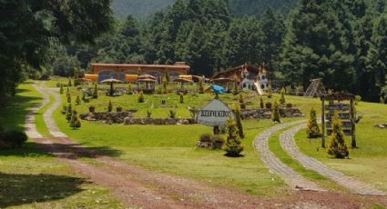 Hallan 4 cuerpos en fosas en La Marquesa; dos son extranjeros