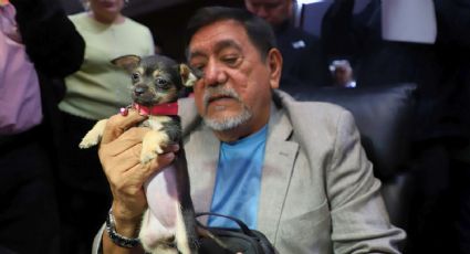 Sombra de Félix Salgado reina en segundo día de registros de Morena
