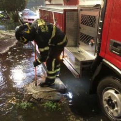 Árboles caídos, encharcamientos y cortocircuitos por lluvias en CDMX