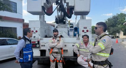 Daniel Carrillo viaja a CDMX para gestionar mejoras en infraestructura eléctrica para San Nicolás