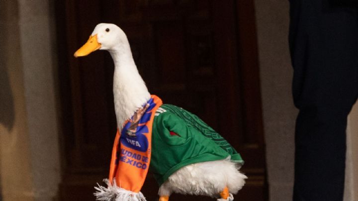 Pato Merlín en Netflix: El fenómeno de 2026 podría buscar película
