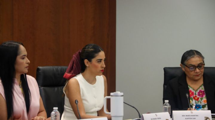 Diputada Ealy se deslinda de entrevista a Monsiváis