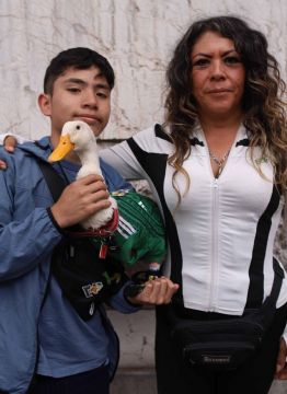 Fama de pato Merlín 'es pasajera'