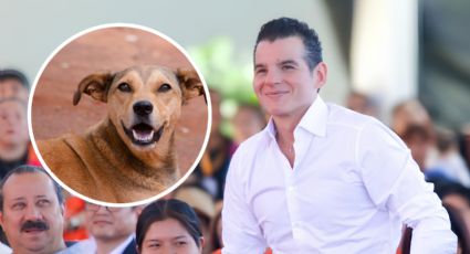 Miguel Flores donará su sueldo al santuario Milagros Caninos para combatir el maltrato animal