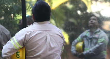 CFE restablece servicio eléctrico en Nuevo León
