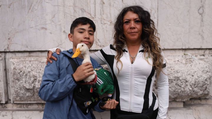 Fama de pato Merlín 'es pasajera'