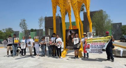 Protestan por la osa Mina frente al Zoólogico La Pastora