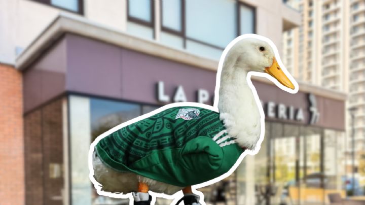 Pato Merlín visitará Monterrey; así será su visita
