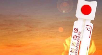 Europa enfrenta una ola de calor sin precedentes
