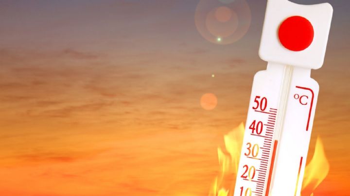 Europa enfrenta una ola de calor sin precedentes