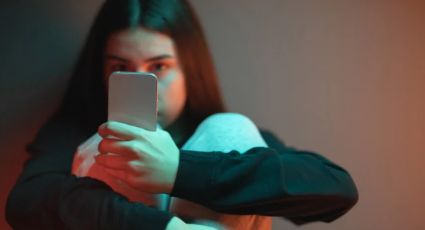 Evalúa UE decretar el ciberacoso como delito penal europeo