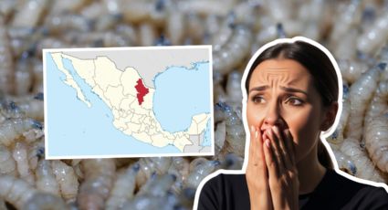 Confirman segundo caso humano de gusano barrenador en Nuevo León