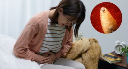 ¿Cómo saber si tienes gusano barrenador? Estos son los sintomas