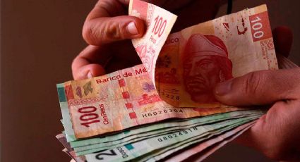 Ahorradores del SAR podrán elegir el fondo de inversión en el que se colocará su dinero
