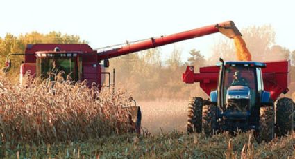 Ante negociación del TLCAN, necesario fortalecer producción agrícola interna: Alianza Campesina 