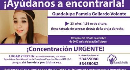 Sigue desaparecida Guadalupe Pamela a casi un mes de que acudió al Ajusco