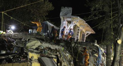 Cámara Japonesa de Comercio dona 7 millones de pesos para afectados por sismos