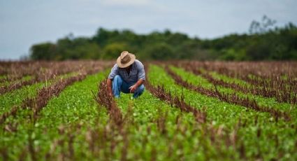 SHCP destina mil 500 mdp pesos para aseguramiento agropecuario en 2018