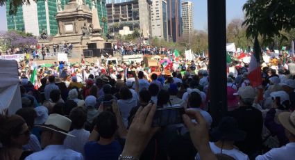 Las marchas que sí hicieron vibrar a México