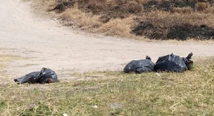 Localizan restos humanos dentro de una bolsa en La Piedad, Michoacán