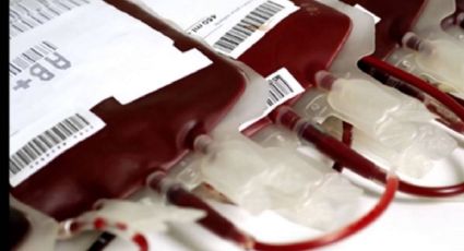 Panal promueve reforma para fomentar donación voluntaria de sangre 