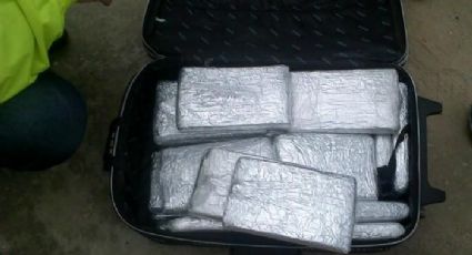 Aseguran más de 20 kilos de cocaína en el aeropuerto de la CDMX