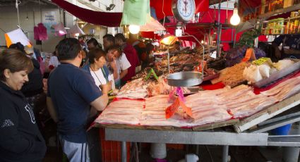 Cofepris suspende más de mil establecimientos de pescados y mariscos