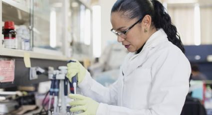 'Debemos crear comunidad' para impulsar la presencia femenina en ciencias, especialista 