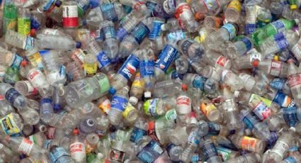 Pide MC regular uso de botellas plásticas y colocarles etiquetas de advertencia