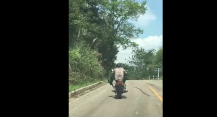 Captan momento en que serpiente ataca a motociclista en plena carretera