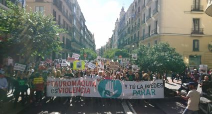 Miles se manifiestan en contra de las corridas de toros en España