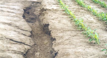 CNDH urge contrarrestar degradación del suelo en México