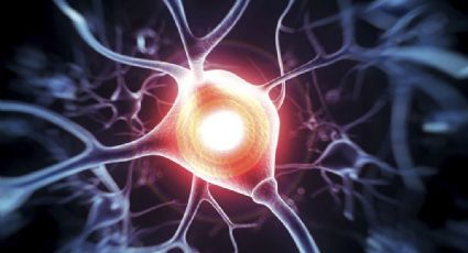Alerta IMSS sobre aumento en enfermedades neurodegenerativas
