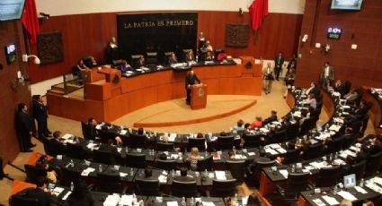 Reciben coordinadores parlamentarios casi medio millón de pesos por apoyos en 2016
