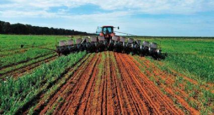 Trump debe cuidar logros agrícolas del TLCAN: senadores republicanos