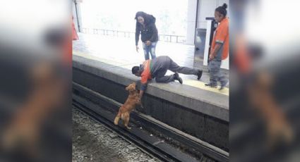 Metro afirma que sí actuó para salvar a un perro que cayó a las vías