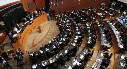 Senadores dividen opiniones en relación al tema del Fiscal Anticorrupción
