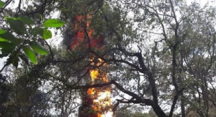 Reportan incendio en ducto de Pemex en Santiago Tulantepec, Hidalgo